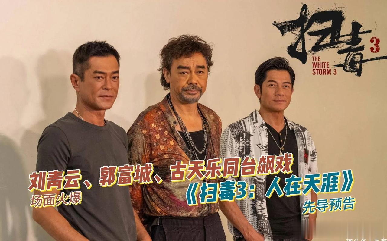 《扫du3:人在天涯》
郭富城接棒张家辉、刘德华“扫du”

本篇讲述了du枭康