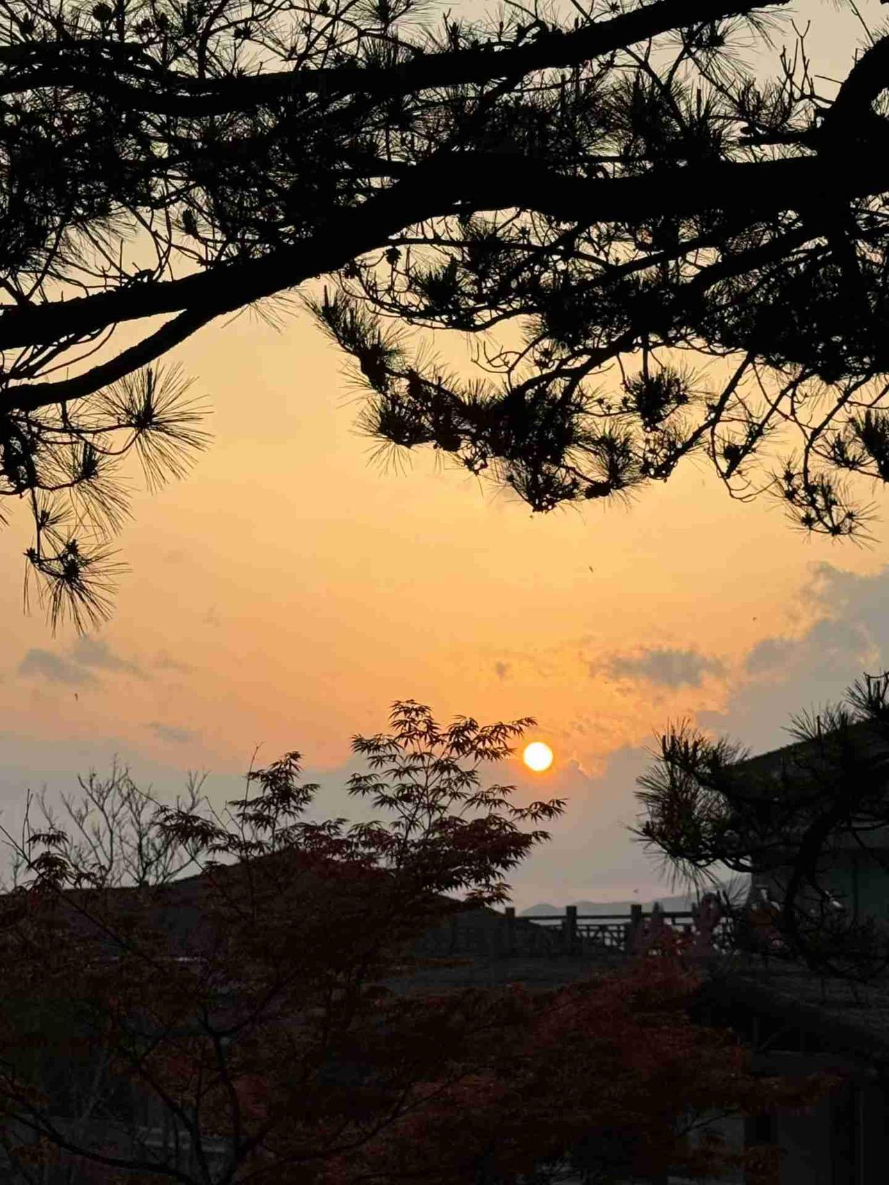 我的今日状态：🏝️旅行度假
我这里的天气：🍂微风