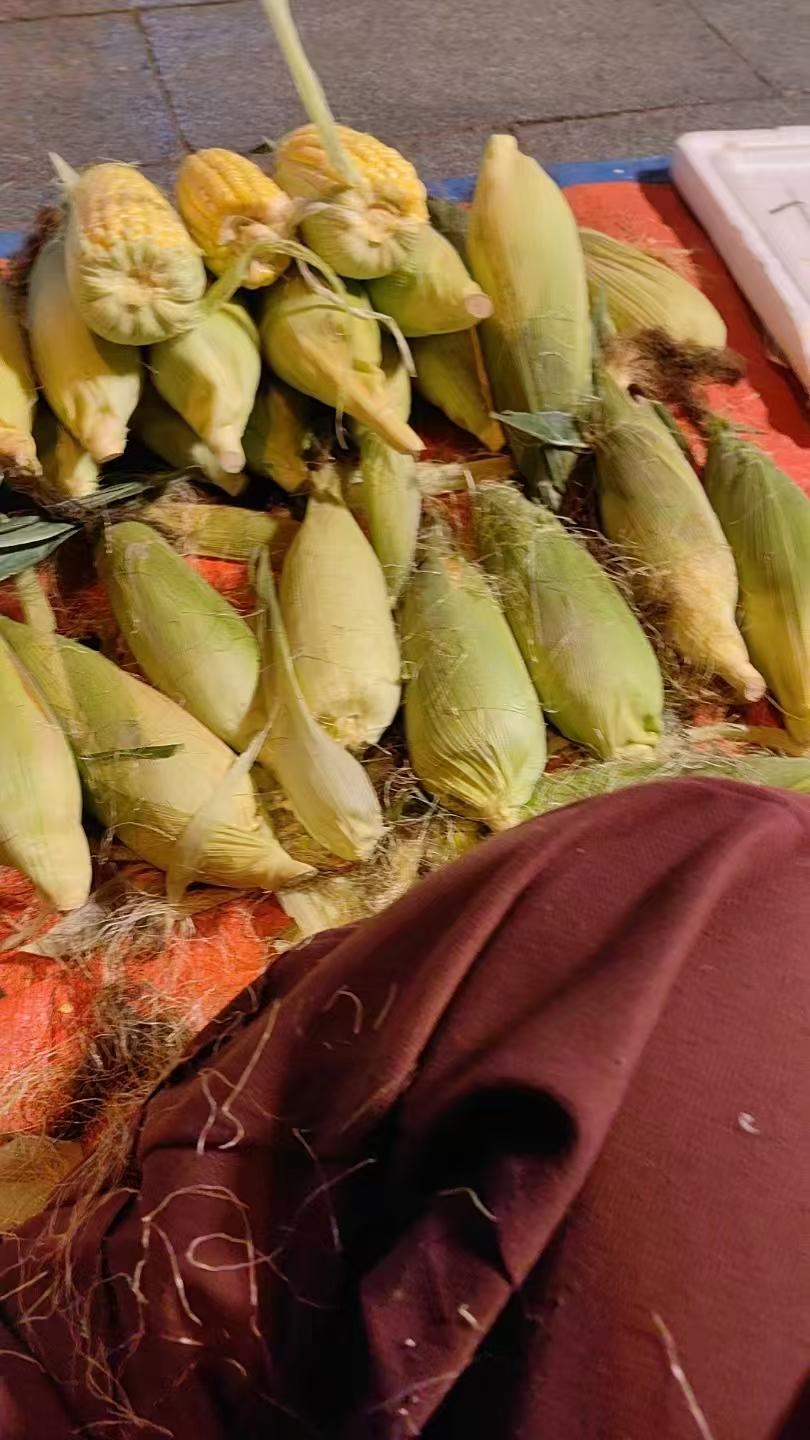 从自媒体到卖玉米：成年人的生活，没有容易二字

关掉电脑屏幕，盯着停更了几年的头