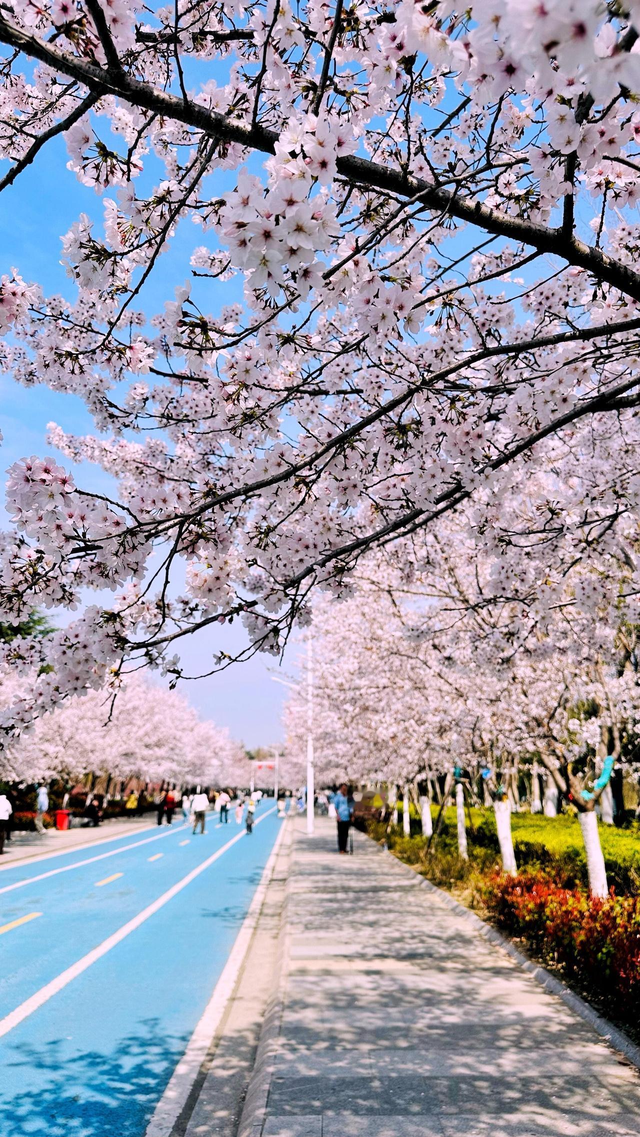 亲测淮安5座宝藏公园，全是我们本地人常去的私藏地、大多都免费，逛着舒服又解压，闭