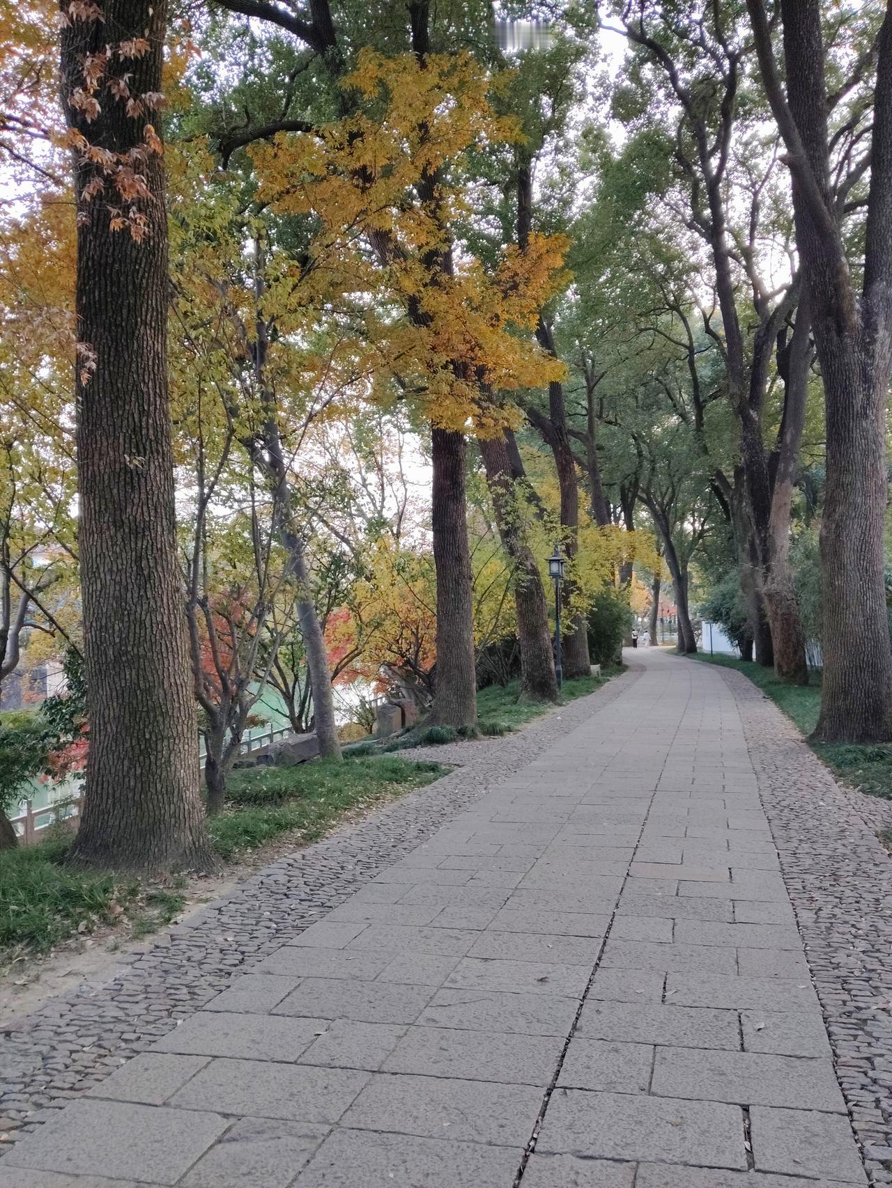 在人生的漫长旅途中，我们常常会遇到这样那样的抉择：是坚持走下去，还是选择转弯换道