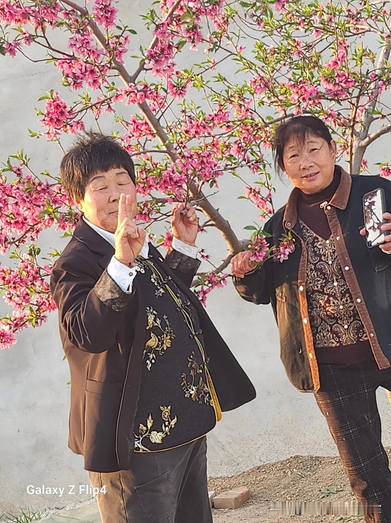 韶媛美丽春常在，驻足一颗心花开。
曾经倜傥今何处，软丝伊甸好风采。