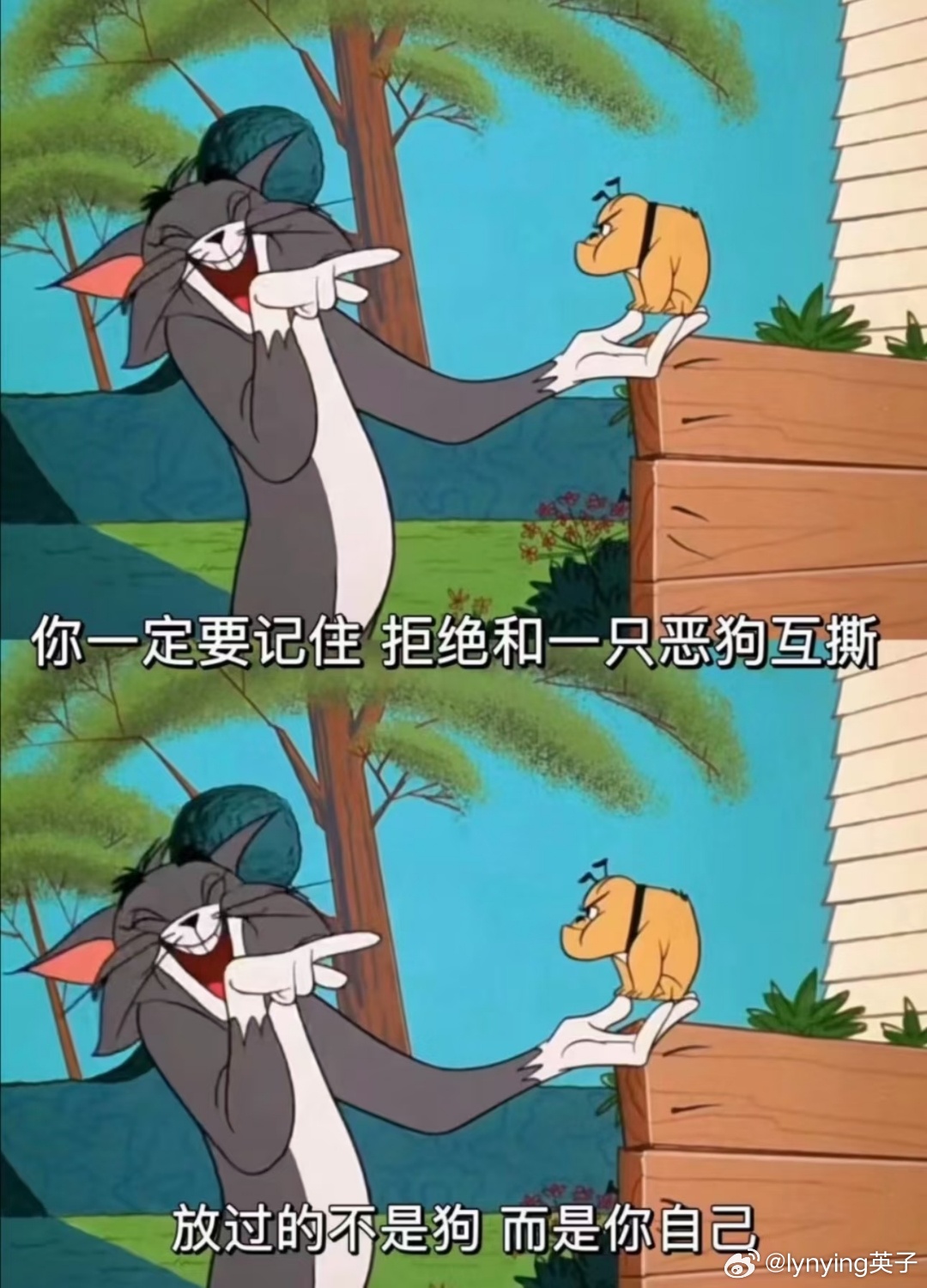 聪明的人是遇到问题想办法解决问题，而不是去抱怨好多问题