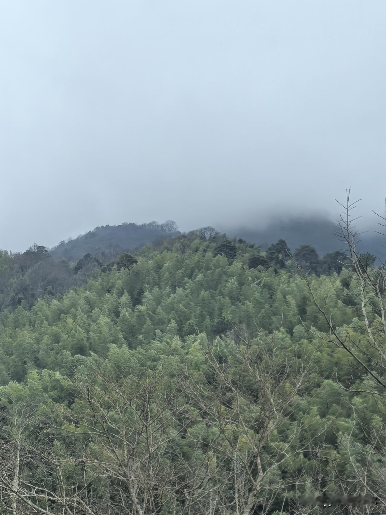 总想找一处山青水秀无人但有烟火之处，过一段隐居，悠然见南山的极端日子。

就在老