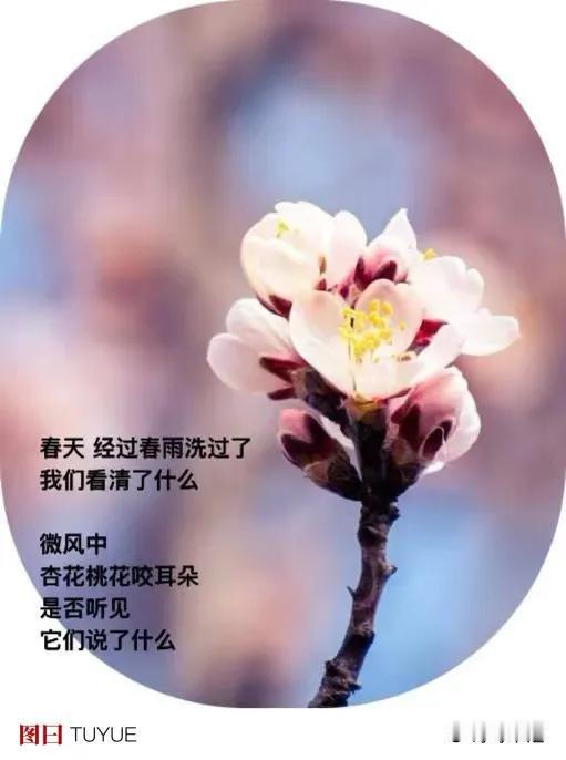 早安全世界
4月12日  星期五
抬头天晴
沉浸   习习春风中
．
仍是 不疾
