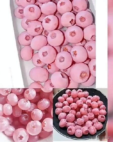 400元一斤粉莓，还一粒难求！

只吃过蓝莓，
蓝莓富含花青素，
对人的身体尤其