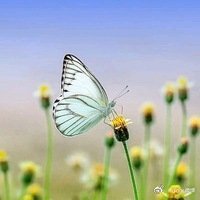 《吴石临行前绝笔，凭一死以报国吾愿足矣影视解说》吴石临行前绝笔，凭一死以报国吾愿