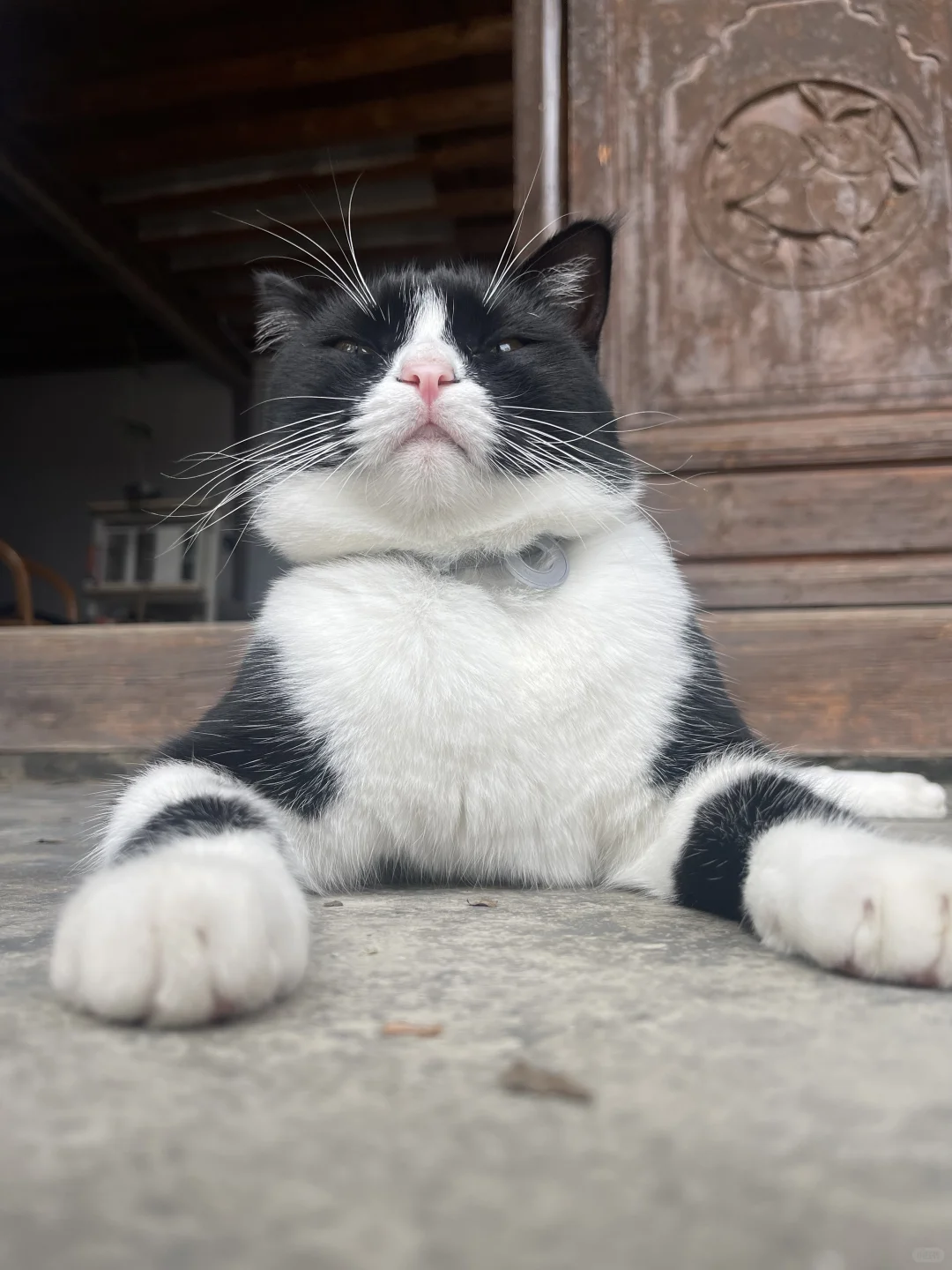 快来请安