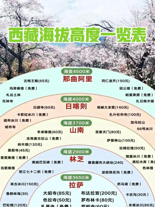 西藏林芝桃花节🌸丨2025最新赏花攻略