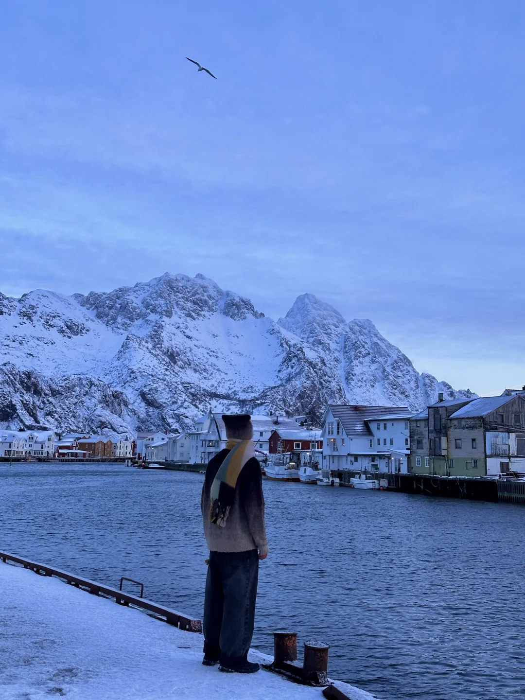 北欧的冬天🇳🇴我的精神保护区 | live
