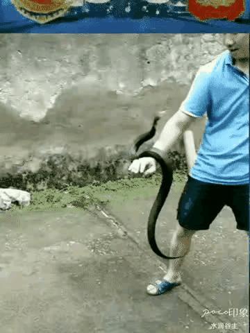 以下两位猛人，你们觉得哪位更猛[抠鼻]