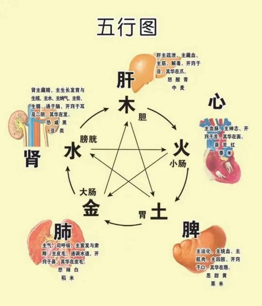 健康知识分享