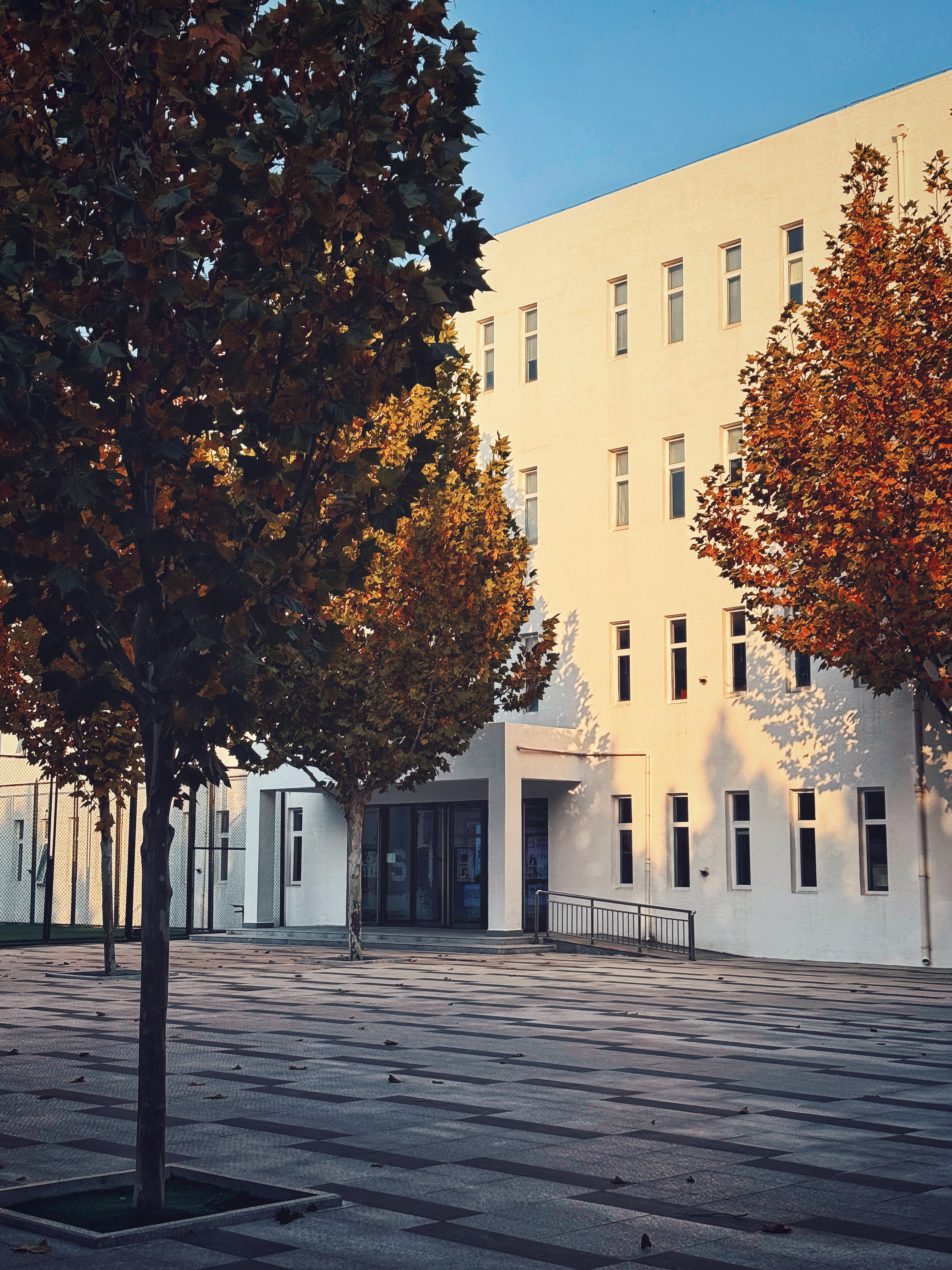 北京秋天还是很好看的，昨天晚霞也挺美，天空再蓝点就好了[哈哈] ​​​