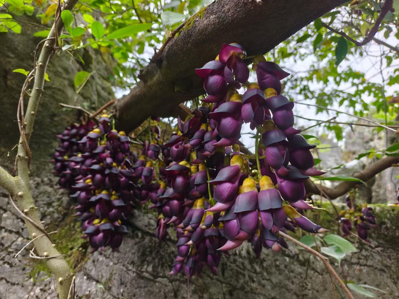 我发现了，五十岁后很容易失眠，特别是申请退休后更容易失眠：

1、我是上个月申请