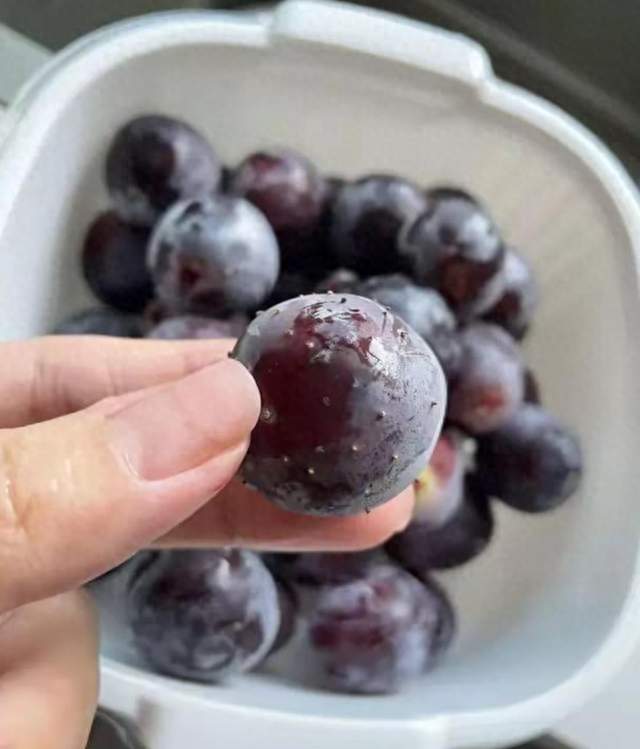 市场大批量上市葡萄暗藏食用隐患，老人与儿童食用需谨慎分辨