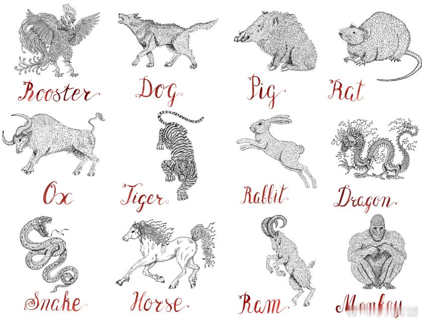 美媒给美国人介绍：我的生肖是什么？生肖动物、对应日期及含义详解！中国占星学与西方