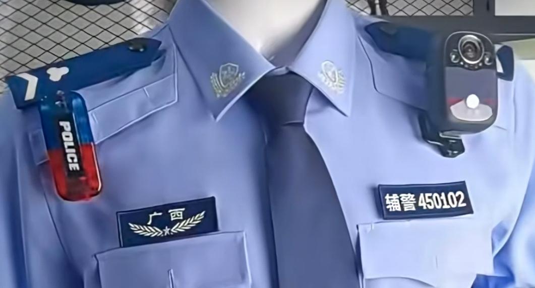 辅警正式被纳入《中华人民共和国职业分类大典》，这绝非仅是“名分”之事，更是制度性