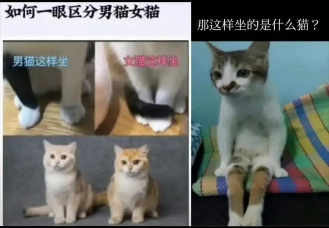 是这样吗？
