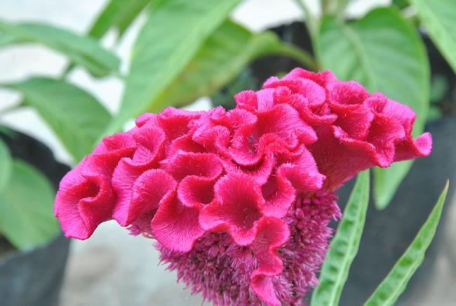 记录我的2026
 
2026年，像藏在云雾里的神秘宝藏——说远，它还在时光彼岸