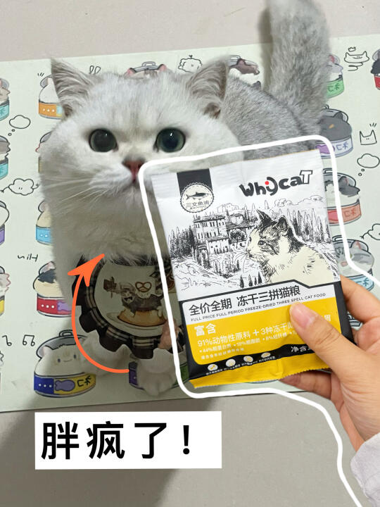 半挂小猫养成器！这长肉猫粮太有实力了！