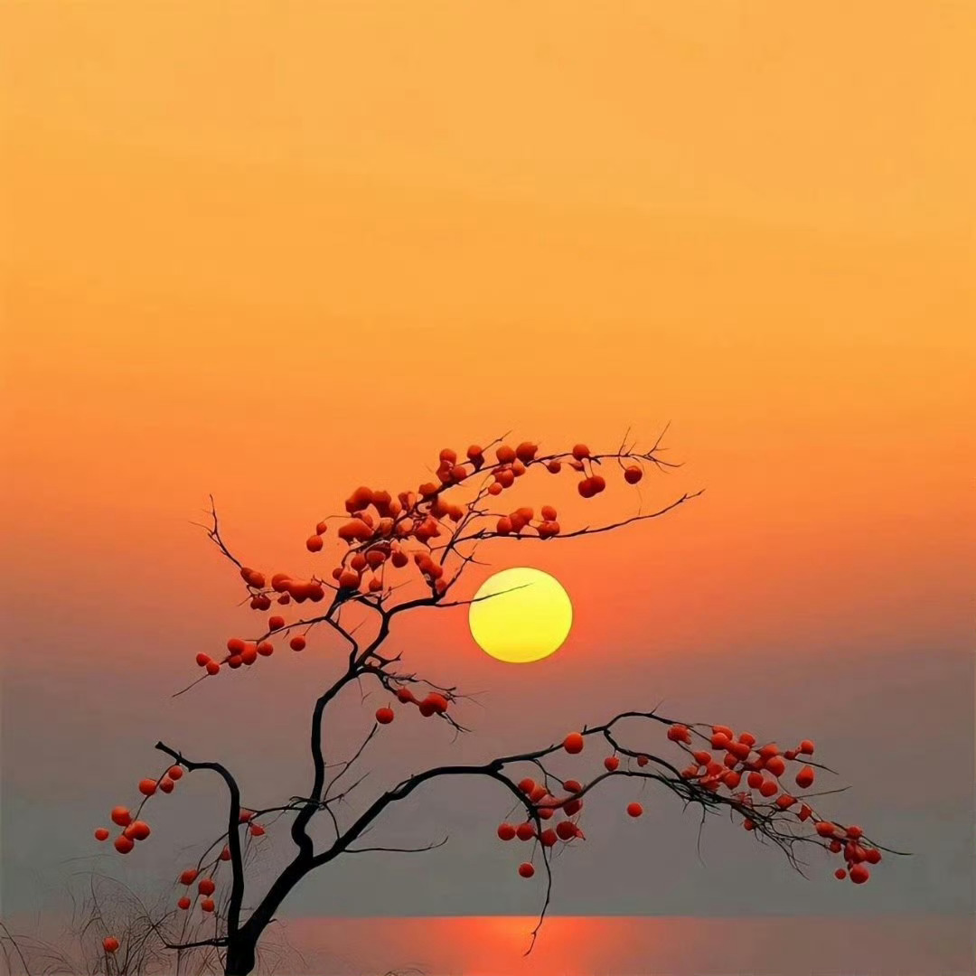 高级感朋友圈背景图 ​​​