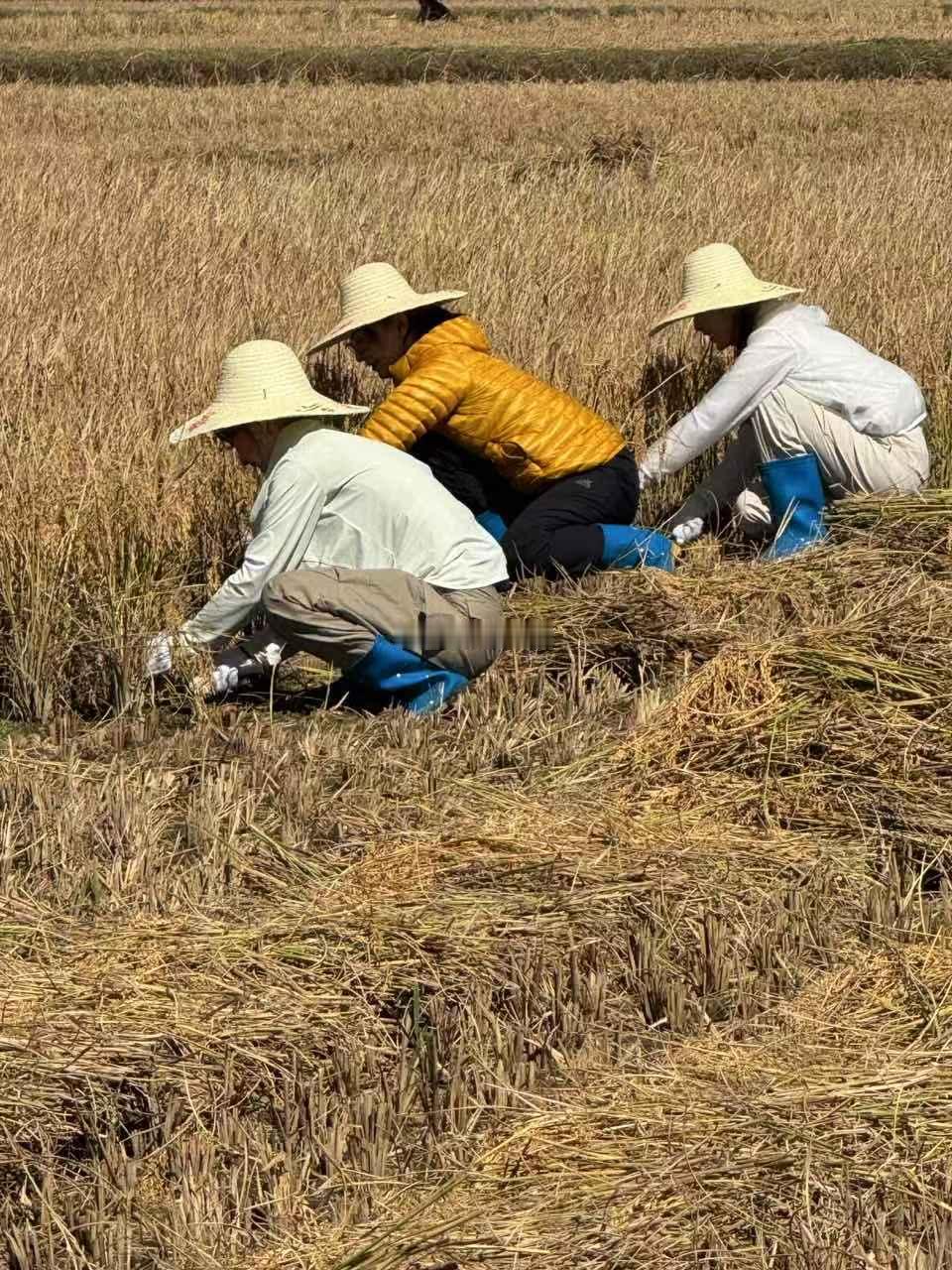 重生之我担在非洲务农 花少7务农造型太硬核，完全抛弃偶像包袱，这才是真正的入乡随