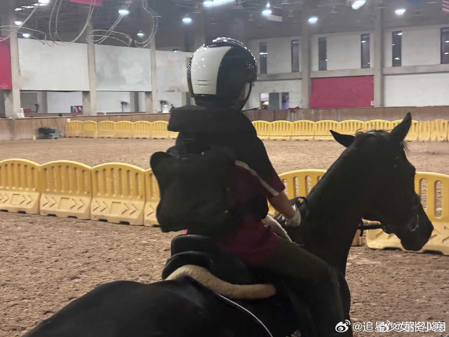 董子健晒女儿背影照为她庆生董子健发文为8岁女儿庆生董子健晒骑马背影照为女儿庆生，