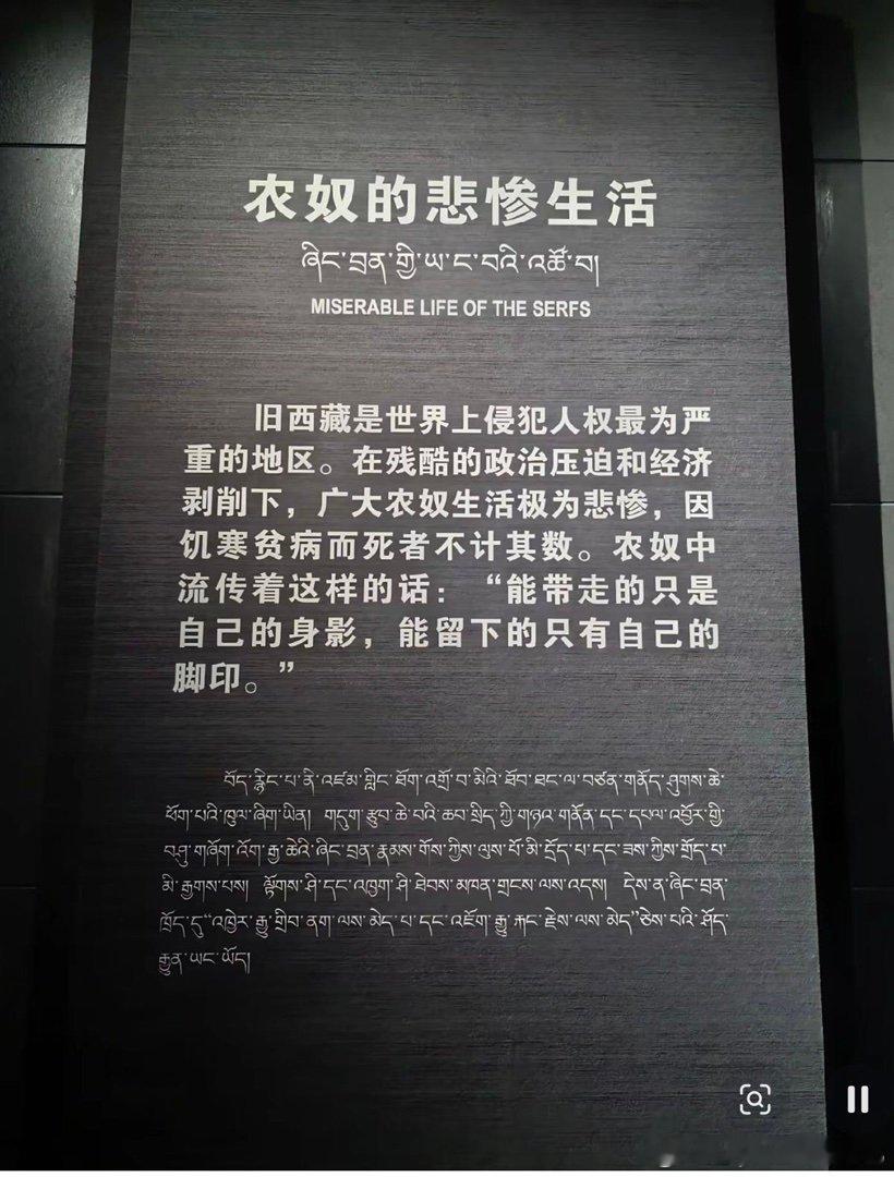 不是人是工具，牛马 