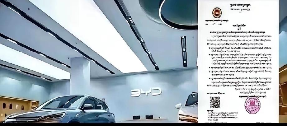 东南亚突然掀牌。柬埔寨从4月1日起，把面向中国的纯电车、充电桩、太阳能整套设备关