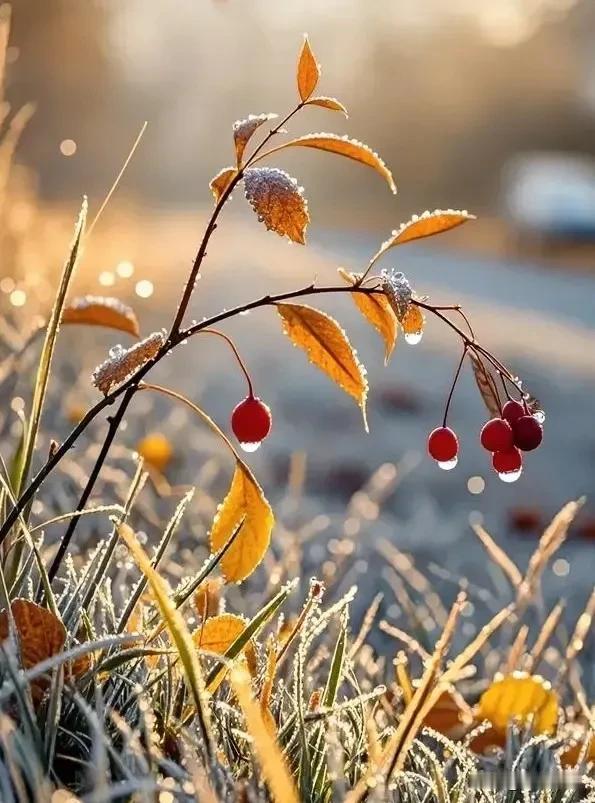 性学专家说：
“如果一个男人，
把女人放在首位，
真心去呵护，
让女人感觉到温暖