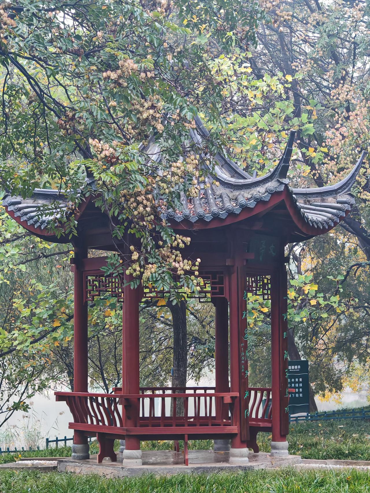 秋天处处是美好的。天空蓝如宝石，清透得像一条透明蓝绸子，南飞的大雁在上面盘旋，仿