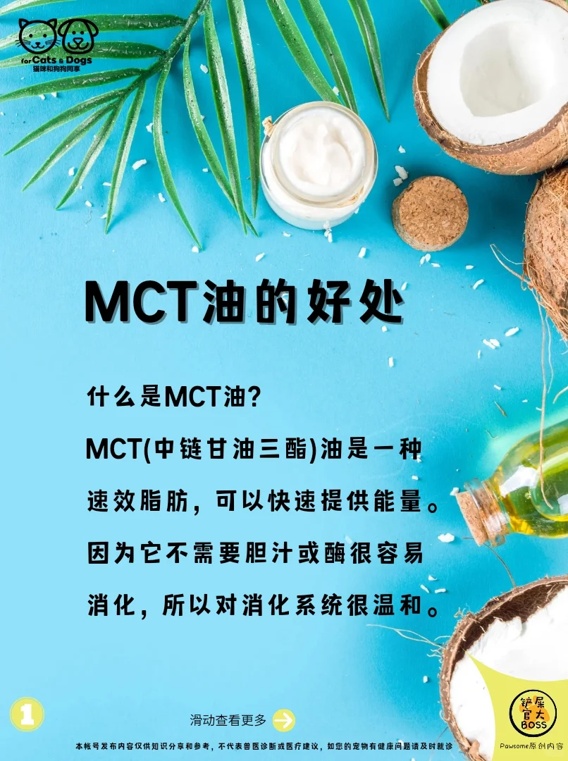 MCT油的好处