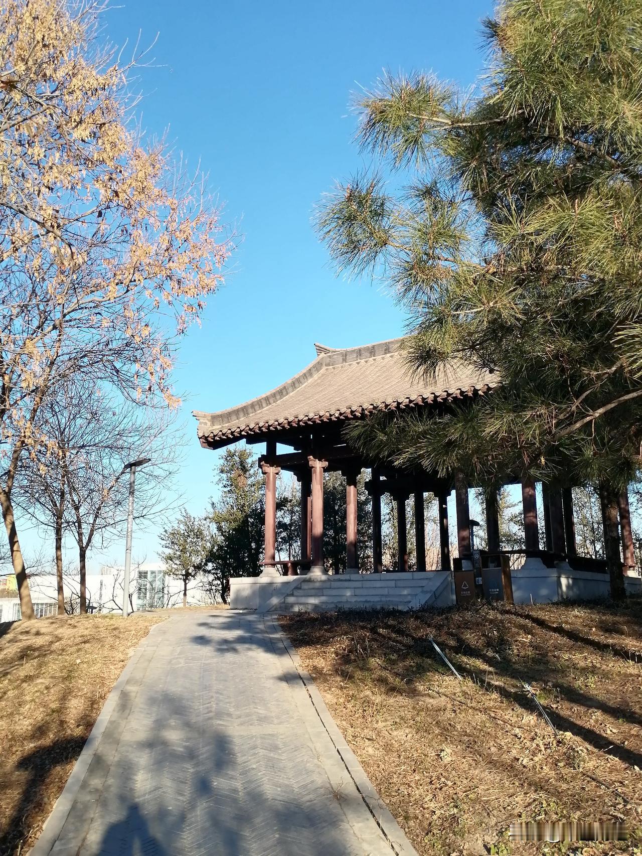 分享一张今日随手拍