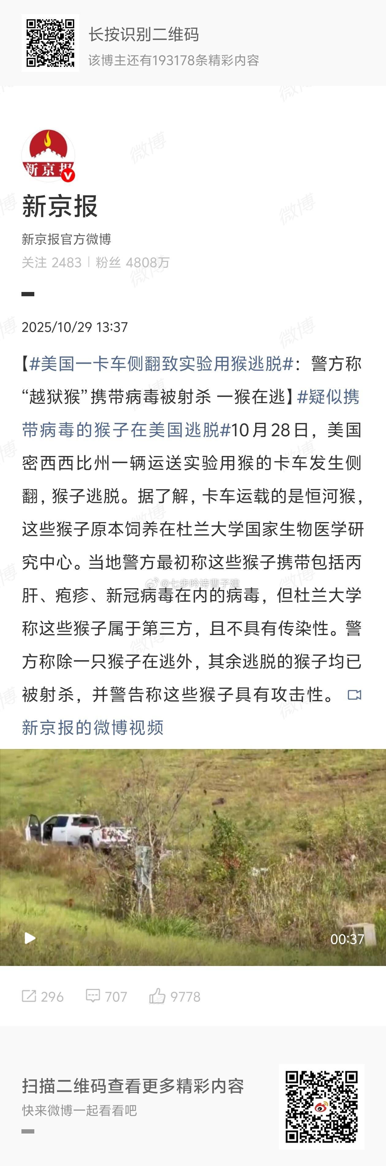 疑似携带病毒的猴子在美国逃脱 一次是偶然，经常就是故意了吧 ​​​