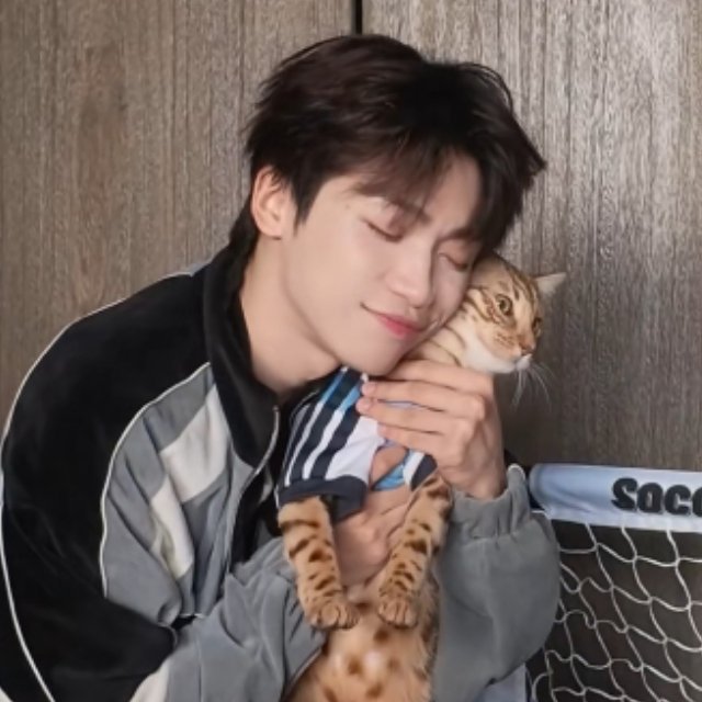 他们就是小猫咪啊 