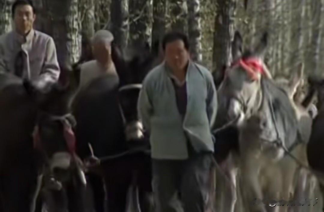 说一个冷知识，山东的驴，比蒙古马都大。
前两天，看大宅门这部电视剧有一个片段，白