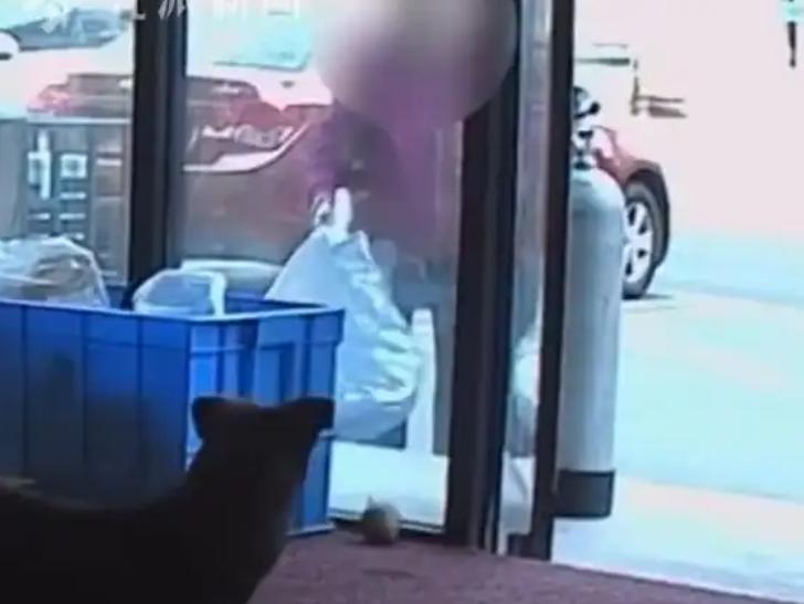 钓了一天的大翘嘴，收竿时竟被路过大妈“顺手牵羊”。鱼主事后发声：鱼倒没啥，主要是