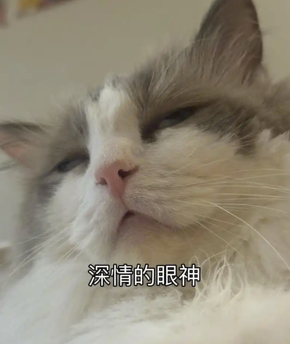 各位有没有发现一个奇怪的现象？今年手机涨价长得离谱，但是发布会和新品数量似乎越来
