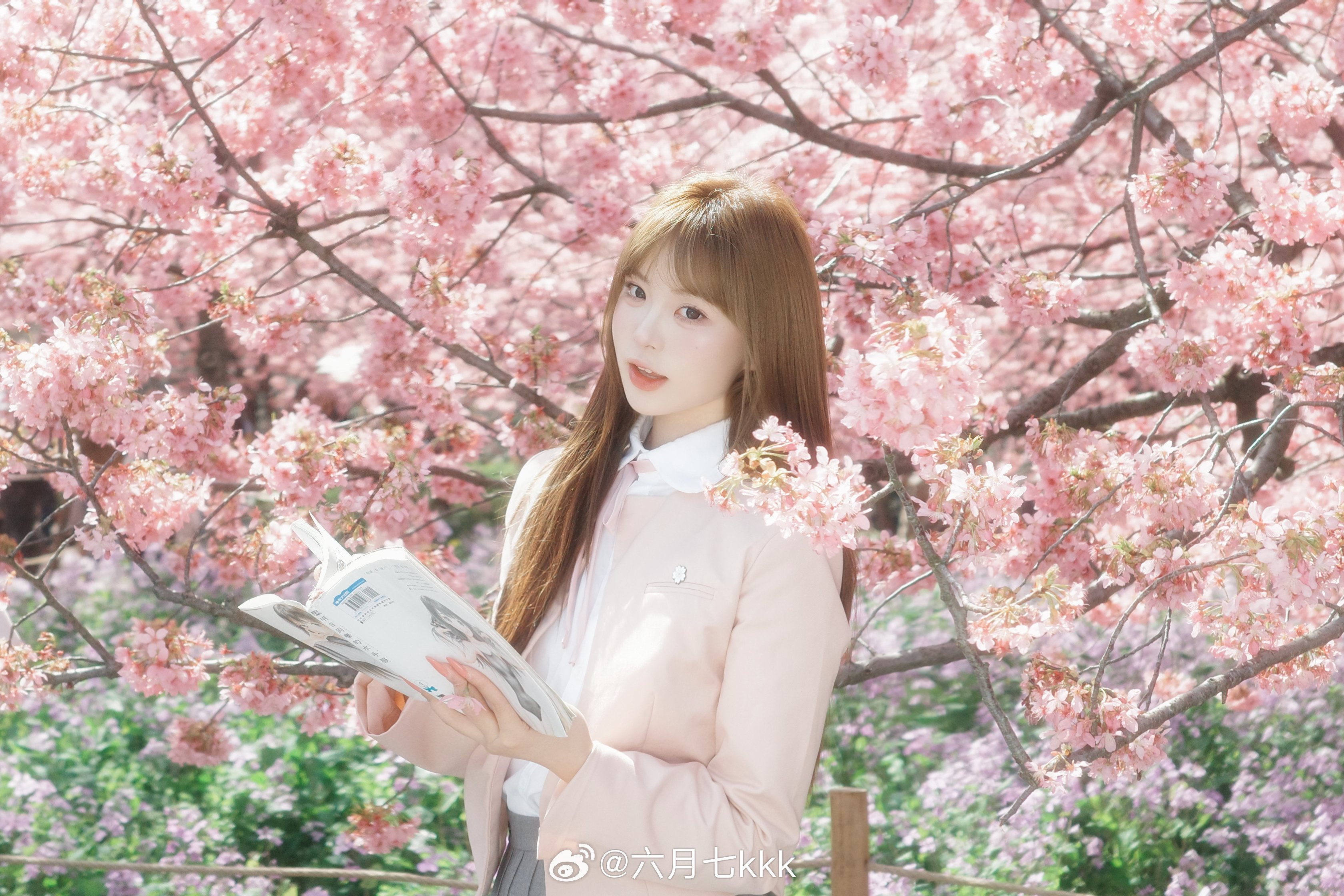 感觉我跟理光没缘分 拍的再美都没有手机流量好！ 