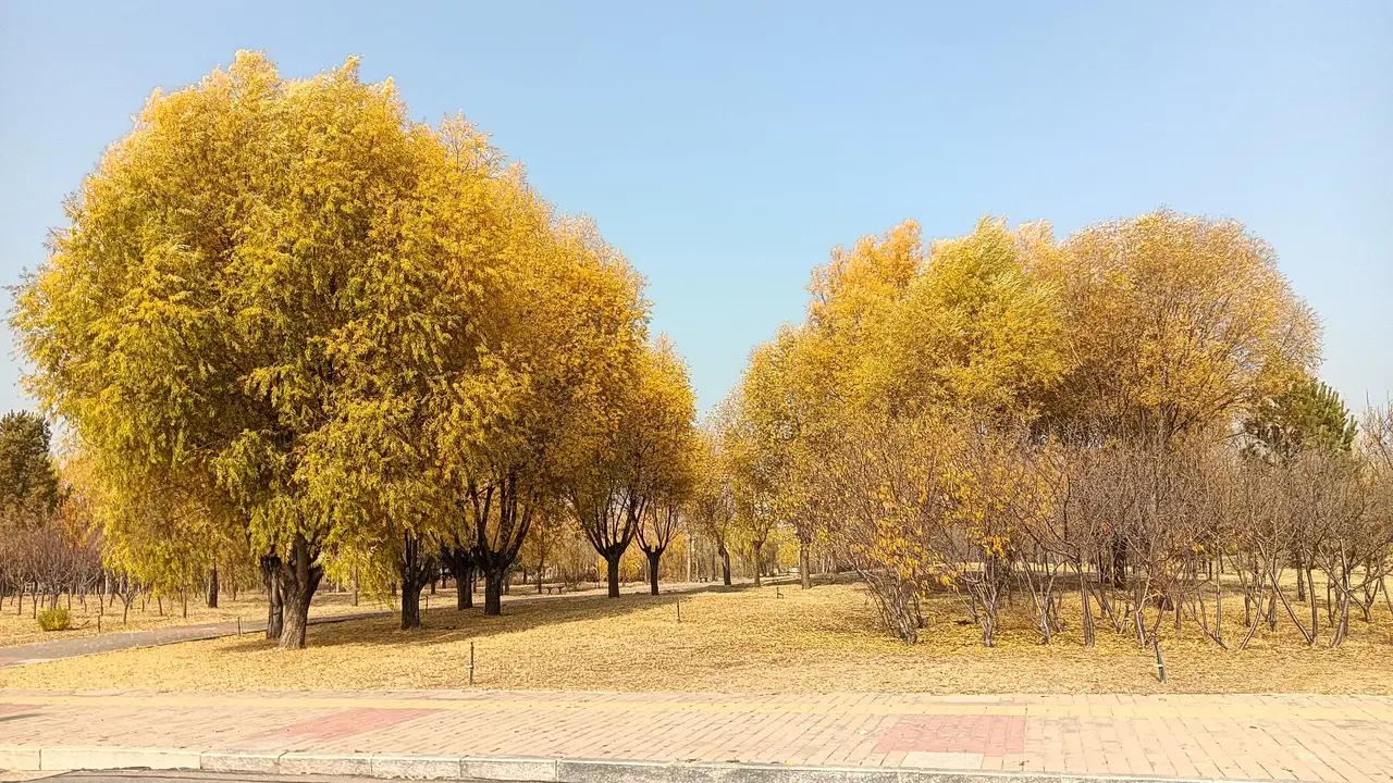 人这一辈子最大的体面不是你年轻时出尽风头，人前人后左右逢源，也不是你台上台下装模