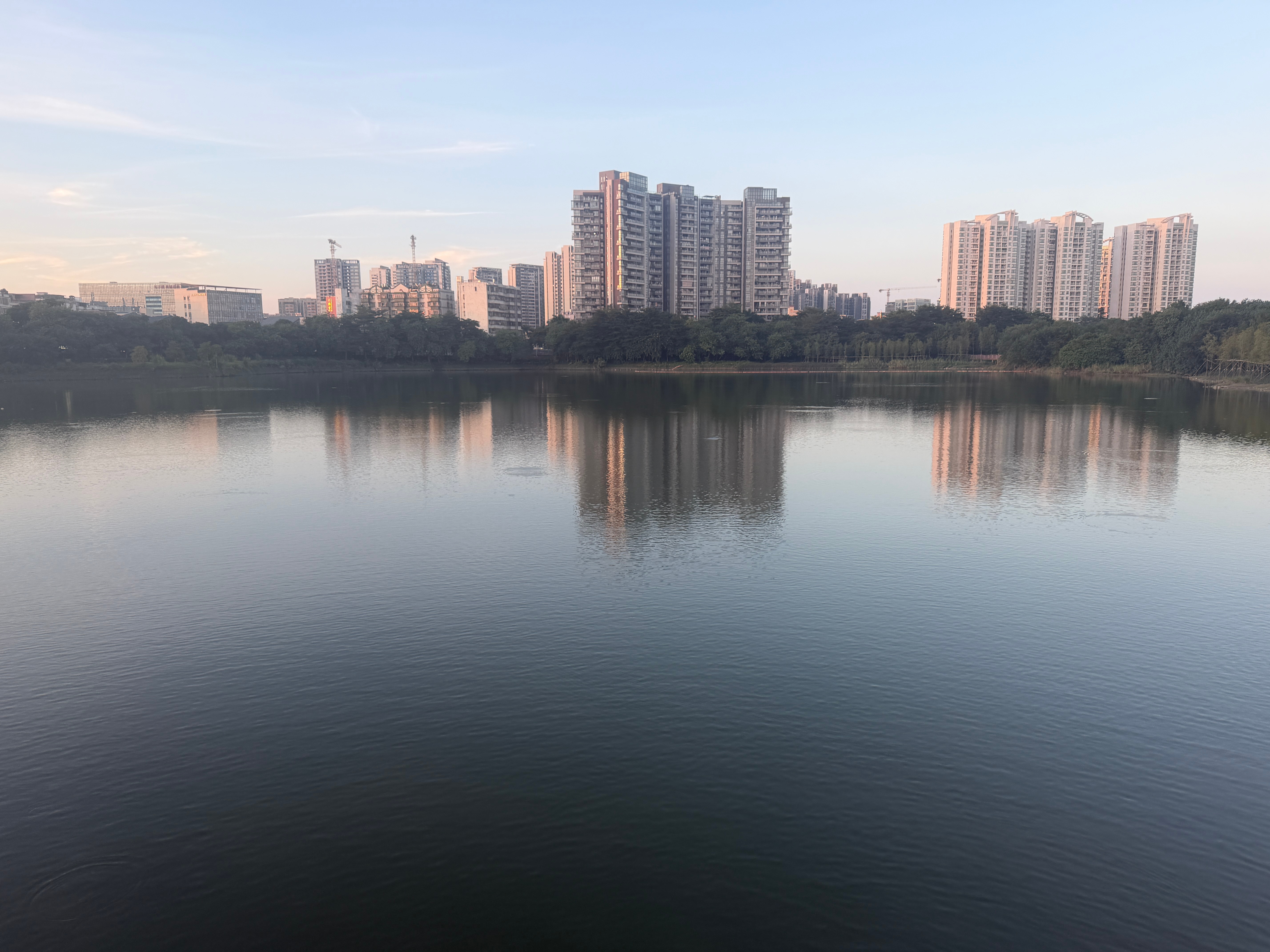早上好