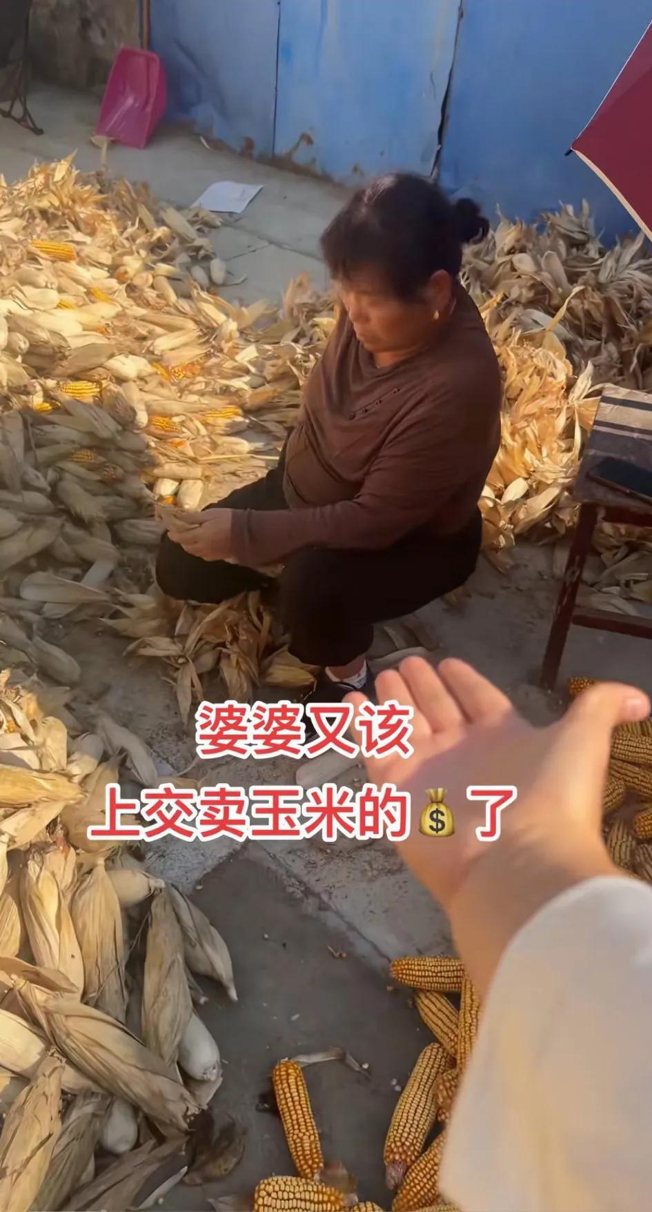 『揪心』你也忍心要老人的钱，农村种点地挣点钱那么容易呢！年纪轻轻地自己干点啥都挣