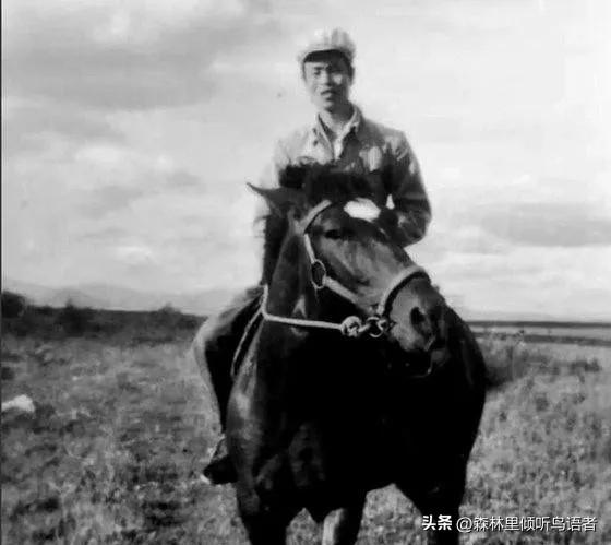 1949年深秋，江西宁都。老红军黄明生回家了，打了十几年仗，他终于衣锦还乡，然而