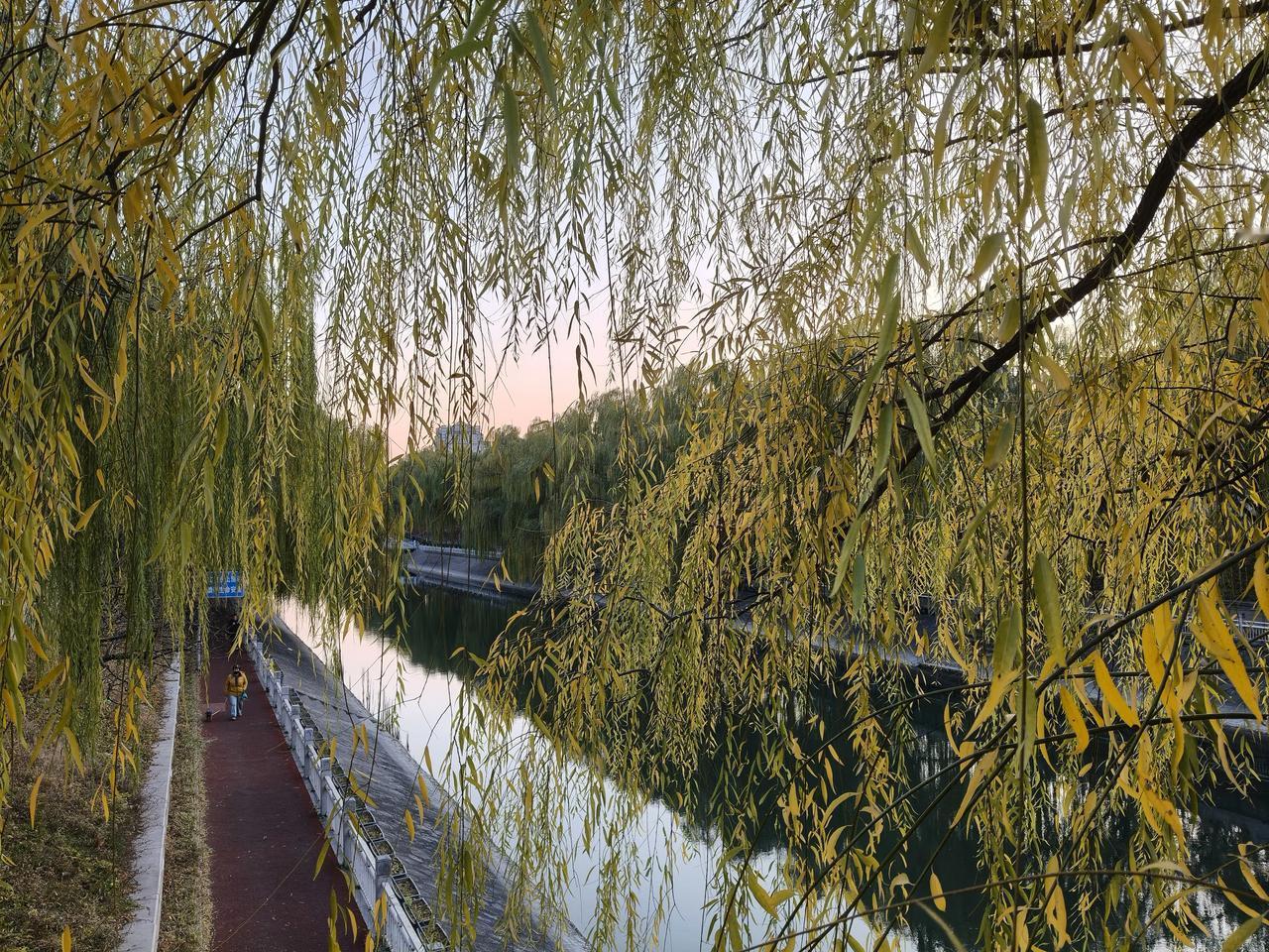 今天听一个厨师分享一个煮鸡蛋的小窍门！
   开水下锅，煮8分30秒恰到好处，有