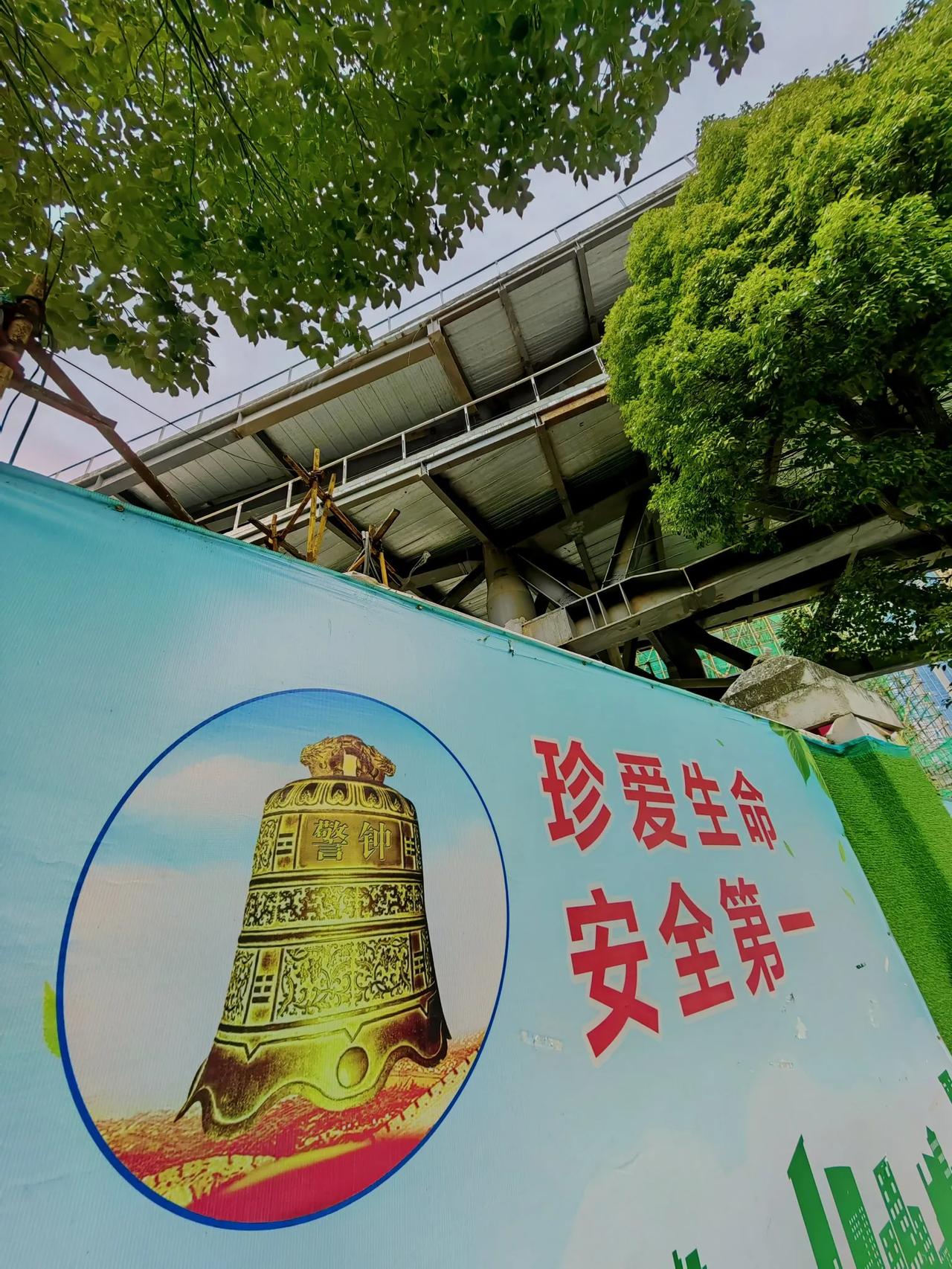 分享一张你最近随手拍的照片吧绿荫底下好乘冻，安全第一务记牢。