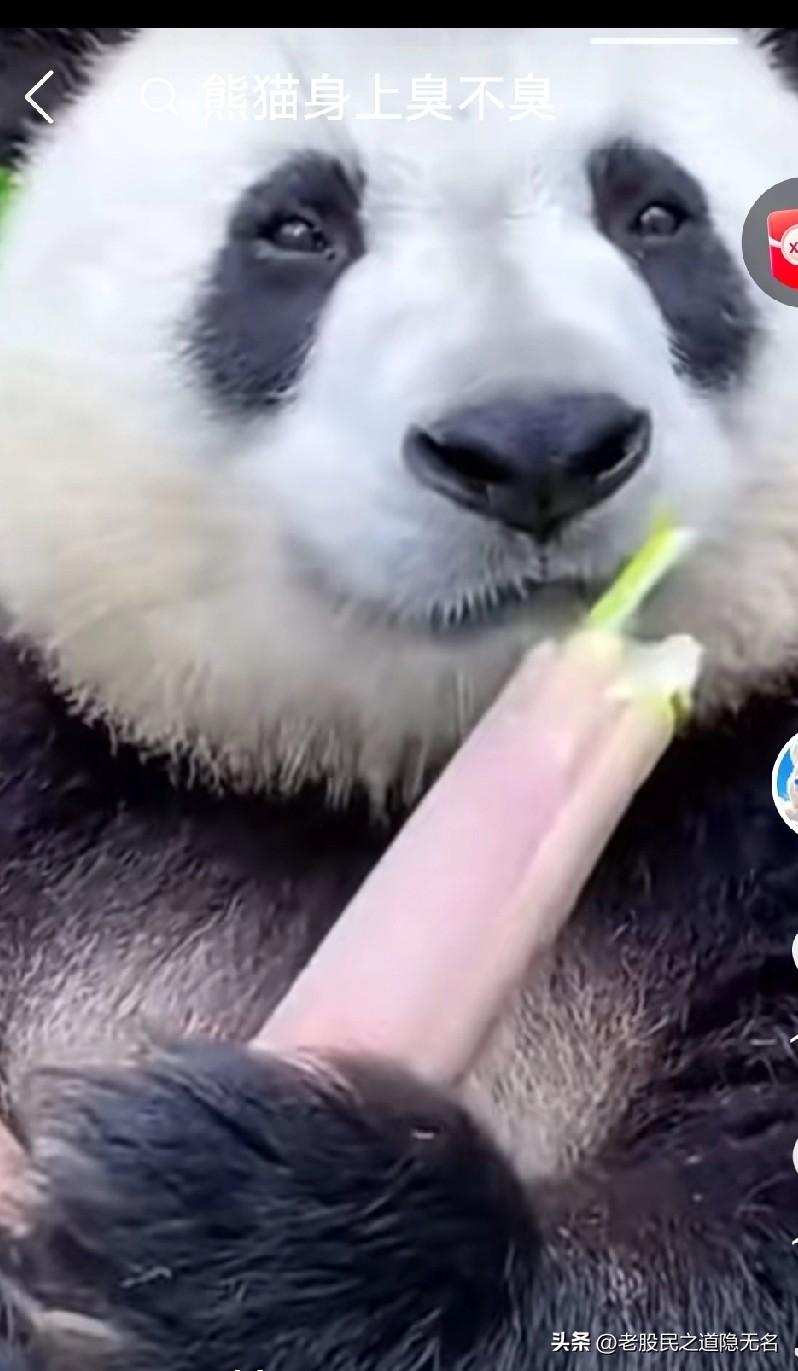 大俄卖高价石油，爽了！
以？只能说疯了！
日韩，郁闷了？
欧公子，傻了！
王爷们