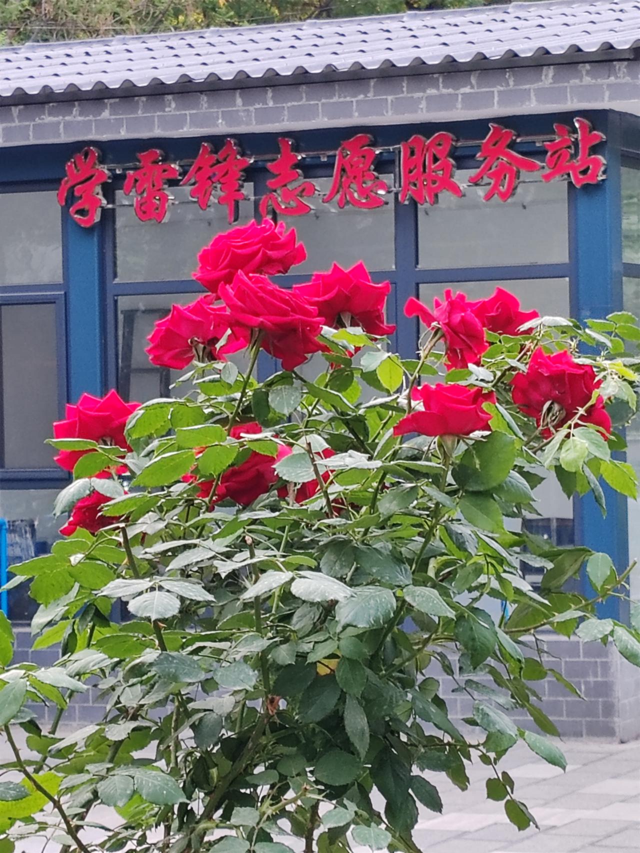 你这人做事不地道啊，是不是现在手头宽裕点了，就动了换老婆的心思。想当初你穷困潦倒