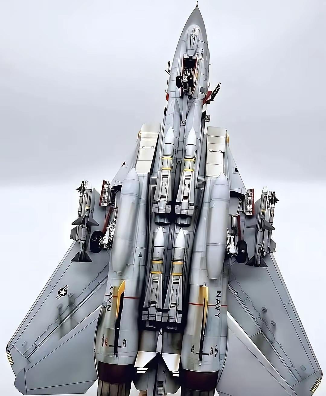 美国F-14雄猫航母舰载机。
搭载不死鸟空空导弹，当年简直就是逆天的存在。F-1