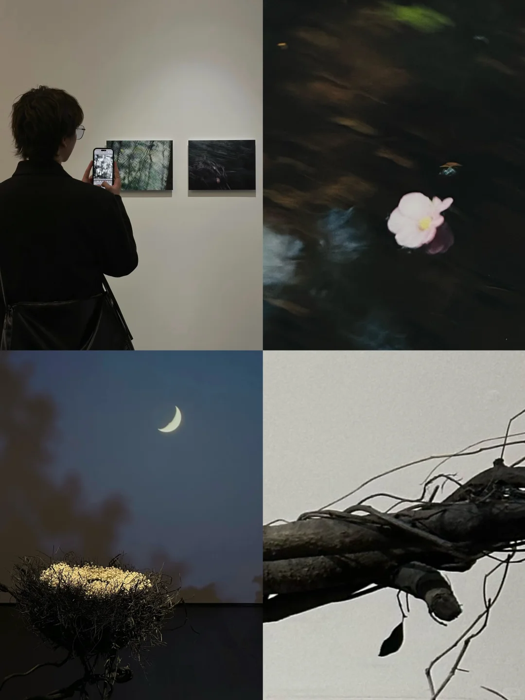 上海新展｜缓慢流动的时间 尽是温柔