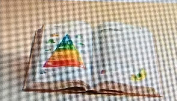 《中国保健营养》杂志开始2025年征稿啦！这可是国家级医学类综合学术刊物，由卫生